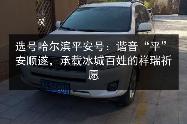 选号哈尔滨平安号：谐音“平”安顺遂，承载冰城百姓的祥瑞祈愿 第3张
