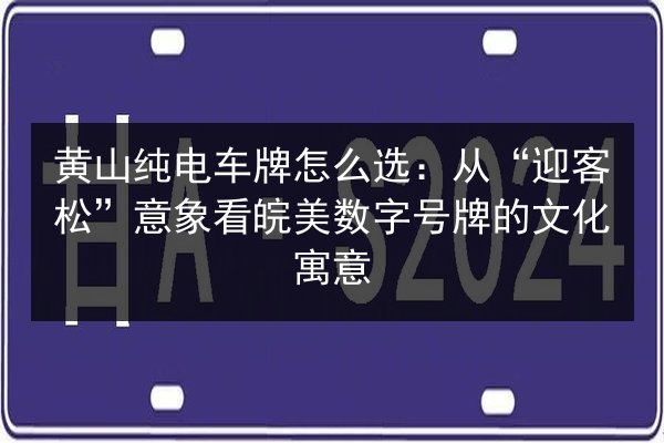 黄山纯电车牌怎么选:从“迎客松”意象看皖美数字号牌的文化寓意 第2张 黄山纯电车牌怎么选:从“迎客松”意象看皖美数字号牌的文化寓意 第2张