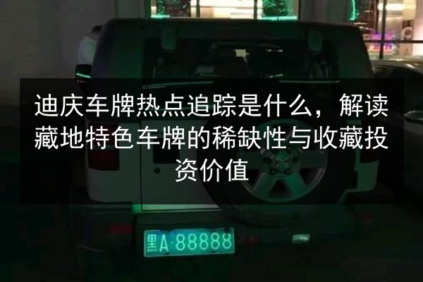 迪庆车牌热点追踪是什么，解读藏地特色车牌的稀缺性与收藏投资价值 第2张