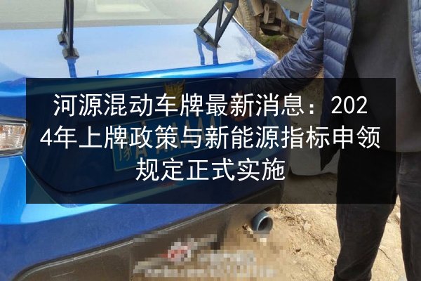 河源混动车牌最新消息：2024年上牌政策与新能源指标申领规定正式实施 第2张