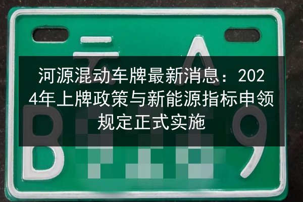 河源混动车牌最新消息：2024年上牌政策与新能源指标申领规定正式实施 第3张