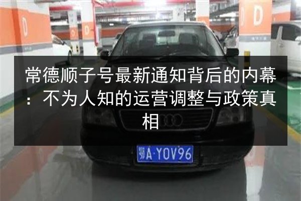 常德顺子号最新通知背后的内幕：不为人知的运营调整与政策真相