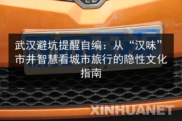 武汉避坑提醒自编:从“汉味”市井智慧看城市旅行的隐性文化指南 第3张 武汉避坑提醒自编:从“汉味”市井智慧看城市旅行的隐性文化指南 第3张
