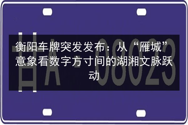 衡阳车牌突发发布：从“雁城”意象看数字方寸间的湖湘文脉跃动 第2张