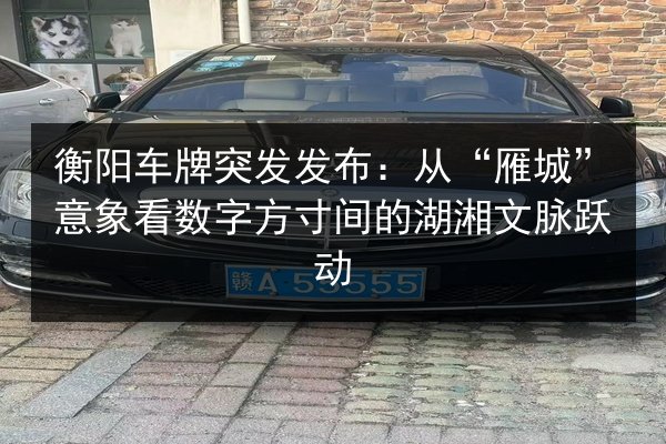 衡阳车牌突发发布：从“雁城”意象看数字方寸间的湖湘文脉跃动 第3张