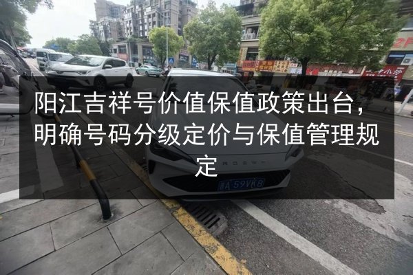 阳江吉祥号价值保值政策出台,明确号码分级定价与保值管理规定 第2张 阳江吉祥号价值保值政策出台,明确号码分级定价与保值管理规定 第2张