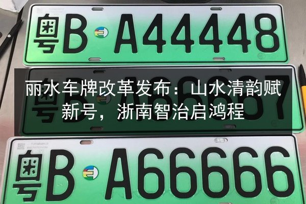 丽水车牌改革发布:山水清韵赋新号,浙南智治启鸿程 第2张 丽水车牌改革发布:山水清韵赋新号,浙南智治启鸿程 第2张