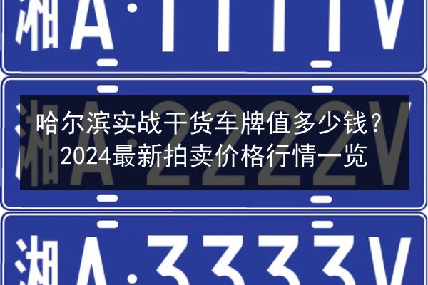 哈尔滨实战干货车牌值多少钱？2024最新拍卖价格行情一览