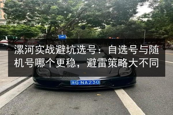 漯河实战避坑选号:自选号与随机号哪个更稳,避雷策略大不同 第3张 漯河实战避坑选号:自选号与随机号哪个更稳,避雷策略大不同 第3张