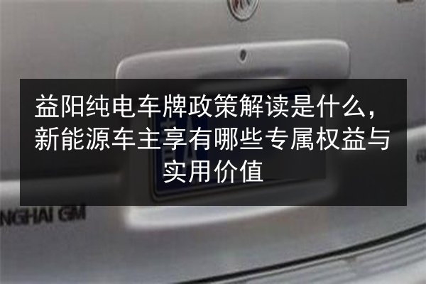 益阳纯电车牌政策解读是什么，新能源车主享有哪些专属权益与实用价值 第3张
