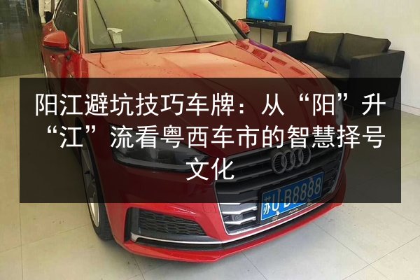 阳江避坑技巧车牌:从“阳”升“江”流看粤西车市的智慧择号文化 第2张 阳江避坑技巧车牌:从“阳”升“江”流看粤西车市的智慧择号文化 第2张
