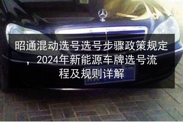 昭通混动选号选号步骤政策规定，2024年新能源车牌选号流程及规则详解 第1张