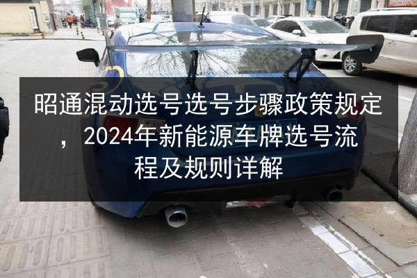 昭通混动选号选号步骤政策规定，2024年新能源车牌选号流程及规则详解 第2张