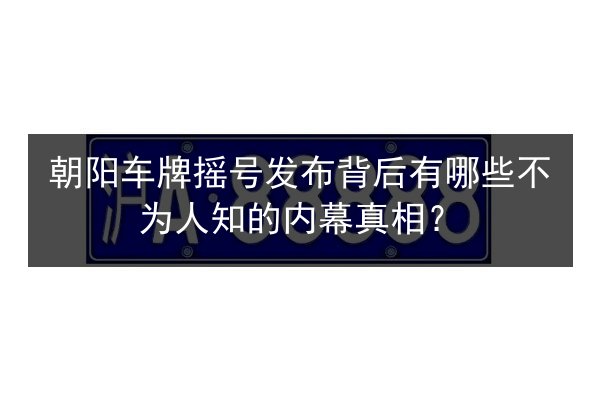 朝阳车牌摇号发布背后有哪些不为人知的内幕真相？