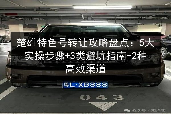 楚雄特色号转让攻略盘点：5大实操步骤+3类避坑指南+2种高效渠道
