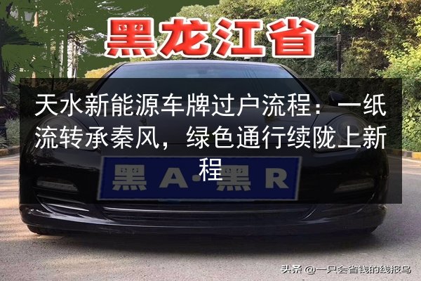 天水新能源车牌过户流程：一纸流转承秦风，绿色通行续陇上新程