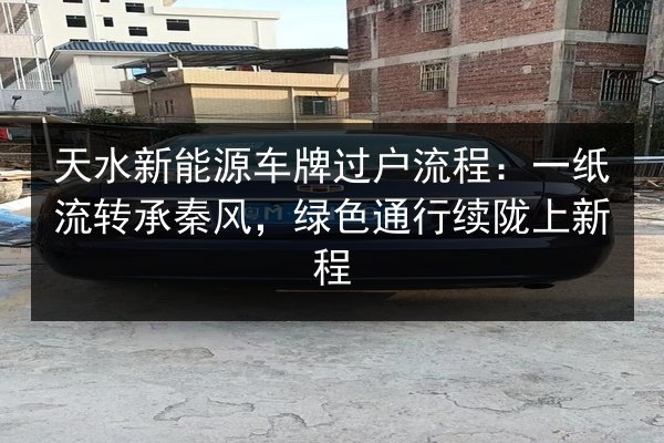 天水新能源车牌过户流程:一纸流转承秦风,绿色通行续陇上新程 第2张 天水新能源车牌过户流程:一纸流转承秦风,绿色通行续陇上新程 第2张