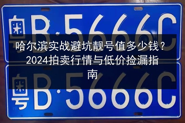 哈尔滨实战避坑靓号值多少钱？2024拍卖行情与低价捡漏指南
