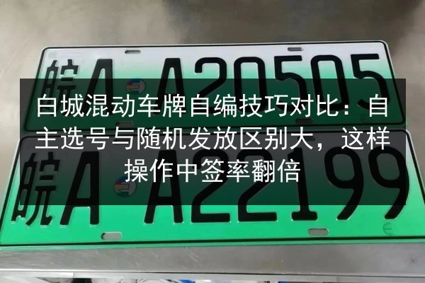 白城混动车牌自编技巧对比：自主选号与随机发放区别大，这样操作中签率翻倍 第1张