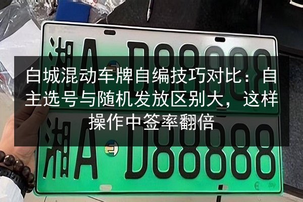 白城混动车牌自编技巧对比：自主选号与随机发放区别大，这样操作中签率翻倍 第3张