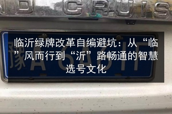 临沂绿牌改革自编避坑：从“临”风而行到“沂”路畅通的智慧选号文化