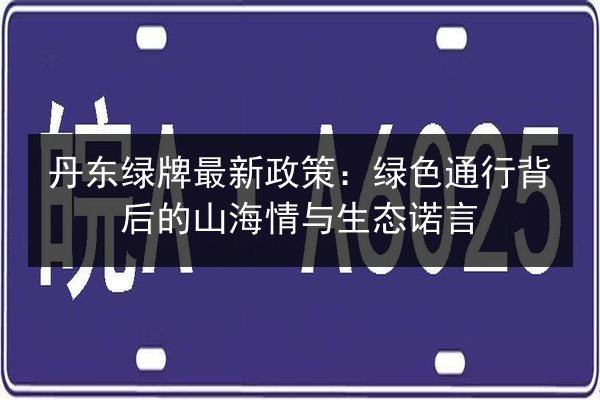 丹东绿牌最新政策：绿色通行背后的山海情与生态诺言