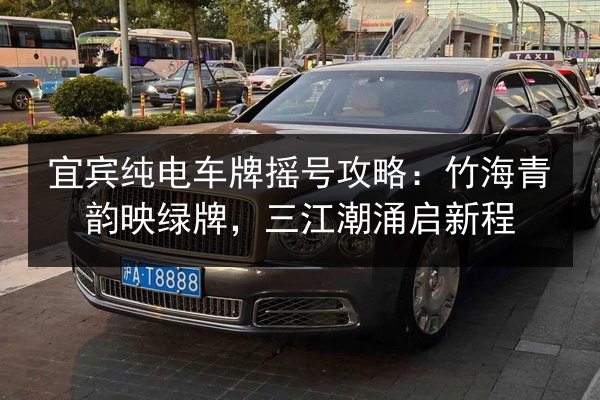 宜宾纯电车牌摇号攻略：竹海青韵映绿牌，三江潮涌启新程