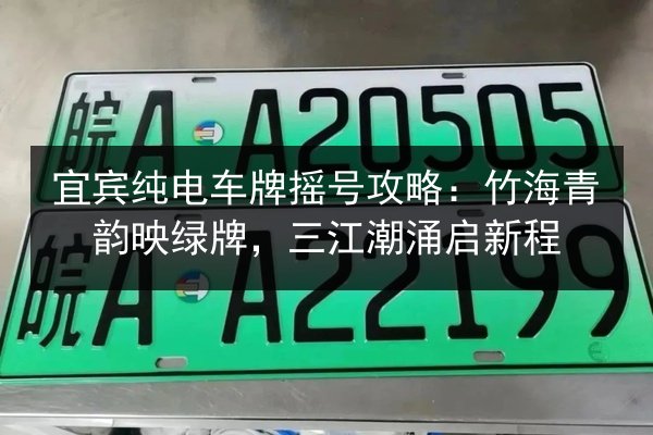 宜宾纯电车牌摇号攻略:竹海青韵映绿牌,三江潮涌启新程 第2张 宜宾纯电车牌摇号攻略:竹海青韵映绿牌,三江潮涌启新程 第2张