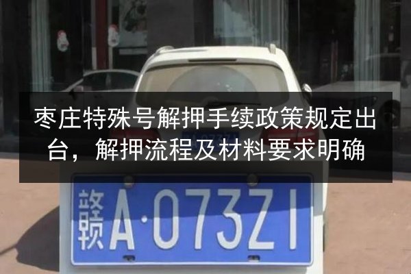 枣庄特殊号解押手续政策规定出台，解押流程及材料要求明确