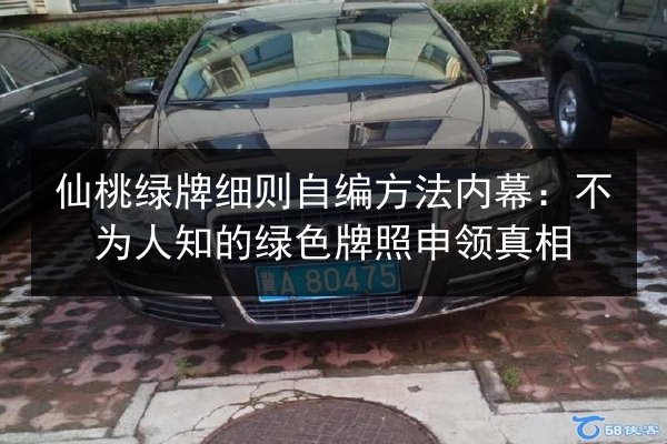 仙桃绿牌细则自编方法内幕：不为人知的绿色牌照申领真相