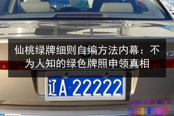 仙桃绿牌细则自编方法内幕:不为人知的绿色牌照申领真相 第2张 仙桃绿牌细则自编方法内幕:不为人知的绿色牌照申领真相 第2张