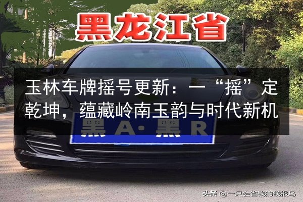 玉林车牌摇号更新：一“摇”定乾坤，蕴藏岭南玉韵与时代新机 第1张