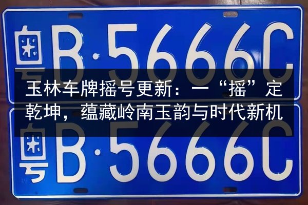 玉林车牌摇号更新：一“摇”定乾坤，蕴藏岭南玉韵与时代新机 第3张