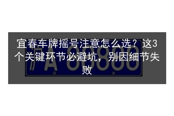 宜春车牌摇号注意怎么选？这3个关键环节必避坑，别因细节失败 第2张