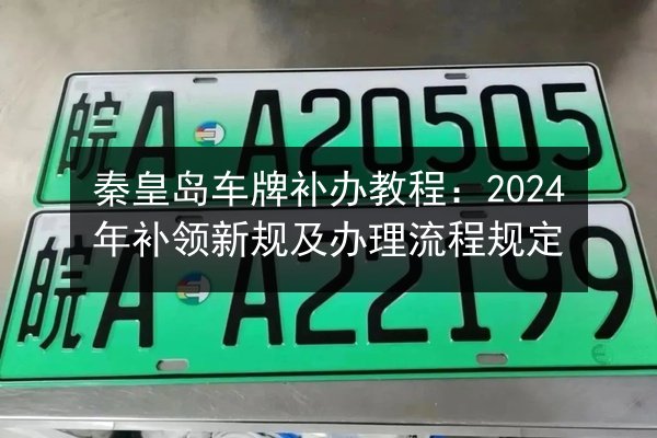 秦皇岛车牌补办教程：2024年补领新规及办理流程规定 第1张