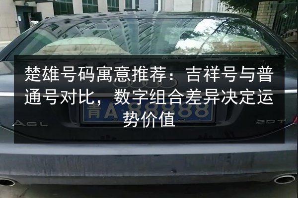 楚雄号码寓意推荐：吉祥号与普通号对比，数字组合差异决定运势价值