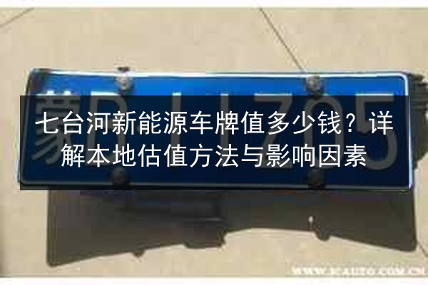 七台河新能源车牌值多少钱？详解本地估值方法与影响因素 第2张