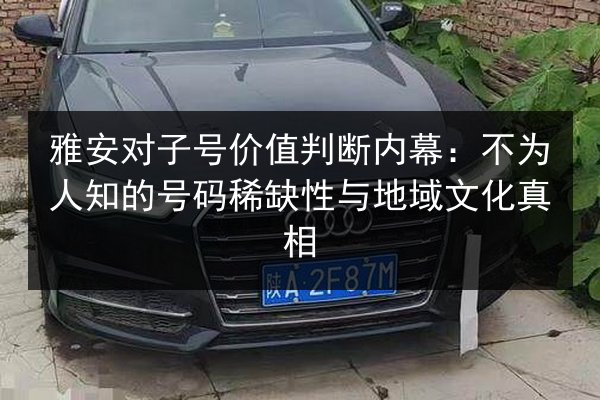 雅安对子号价值判断内幕:不为人知的号码稀缺性与地域文化真相 第3张 雅安对子号价值判断内幕:不为人知的号码稀缺性与地域文化真相 第3张