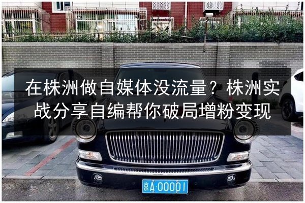 在株洲做自媒体没流量?株洲实战分享自编帮你破局增粉变现 第1张 在株洲做自媒体没流量?株洲实战分享自编帮你破局增粉变现 第1张