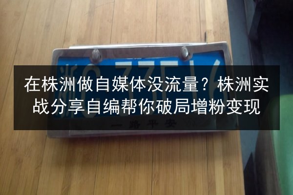 在株洲做自媒体没流量?株洲实战分享自编帮你破局增粉变现 第2张 在株洲做自媒体没流量?株洲实战分享自编帮你破局增粉变现 第2张