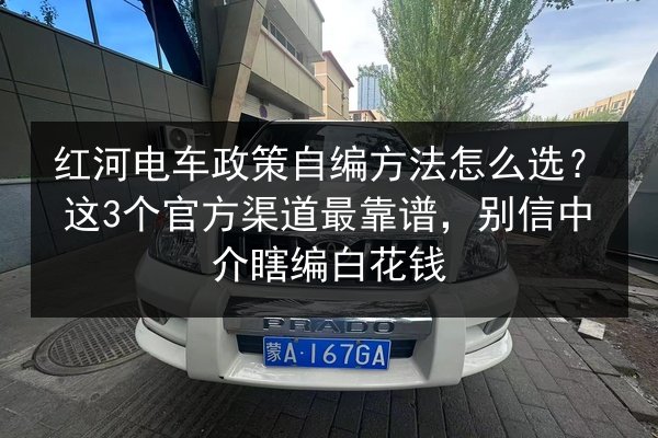 红河电车政策自编方法怎么选？这3个官方渠道最靠谱，别信中介瞎编白花钱