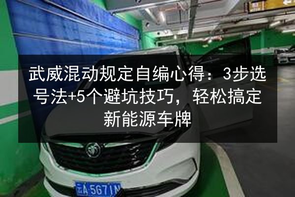 武威混动规定自编心得：3步选号法+5个避坑技巧，轻松搞定新能源车牌