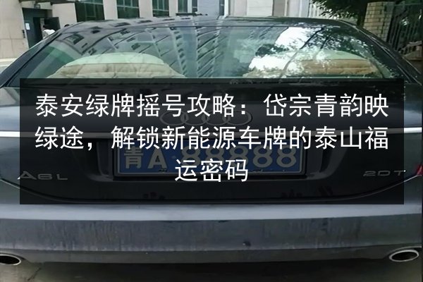 泰安绿牌摇号攻略:岱宗青韵映绿途,解锁新能源车牌的泰山福运密码 第2张 泰安绿牌摇号攻略:岱宗青韵映绿途,解锁新能源车牌的泰山福运密码 第2张