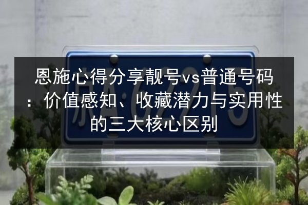 恩施心得分享靓号vs普通号码：价值感知、收藏潜力与实用性的三大核心区别