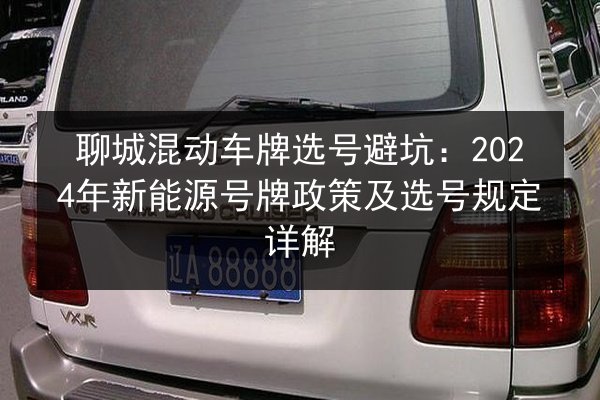 聊城混动车牌选号避坑:2024年新能源号牌政策及选号规定详解 第2张 聊城混动车牌选号避坑:2024年新能源号牌政策及选号规定详解 第2张