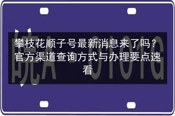 攀枝花顺子号最新消息来了吗？官方渠道查询方式与办理要点速看