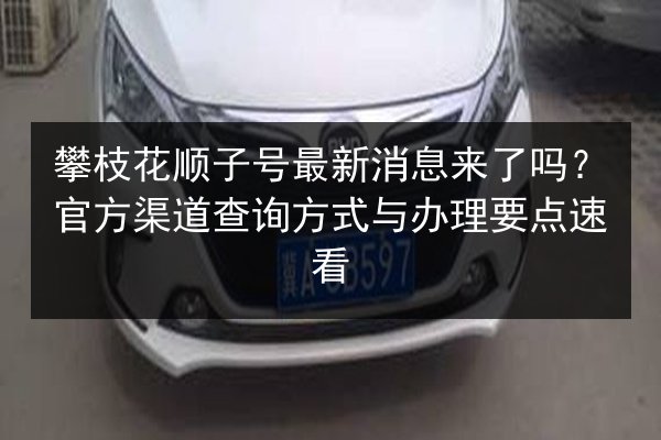 攀枝花顺子号最新消息来了吗？官方渠道查询方式与办理要点速看 第2张