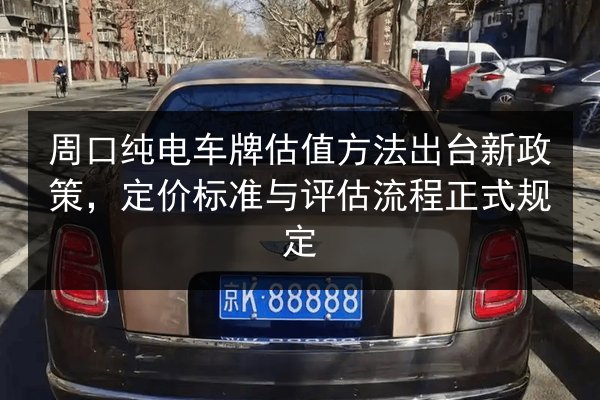 周口纯电车牌估值方法出台新政策,定价标准与评估流程正式规定 第2张 周口纯电车牌估值方法出台新政策,定价标准与评估流程正式规定 第2张