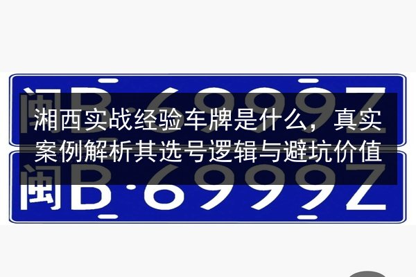 湘西实战经验车牌是什么，真实案例解析其选号逻辑与避坑价值
