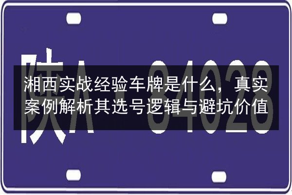 湘西实战经验车牌是什么,真实案例解析其选号逻辑与避坑价值 第2张 湘西实战经验车牌是什么,真实案例解析其选号逻辑与避坑价值 第2张